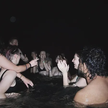 Wild Elephants Vandrarhem *