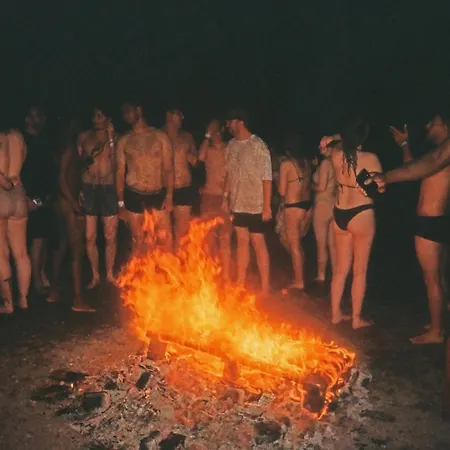 Wild Elephants Bratislava