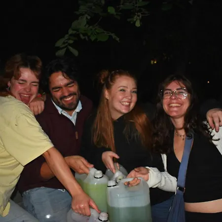 Vandrarhem Wild Elephants