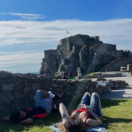 Wild Elephants Vandrarhem *