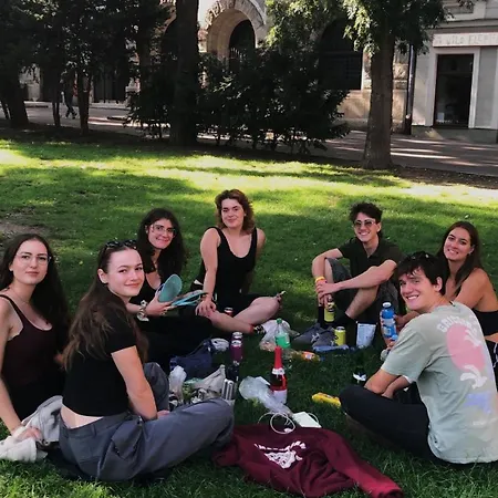 Wild Elephants Bratislava