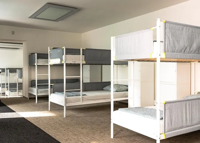 Wild Elephants 布拉迪斯拉发