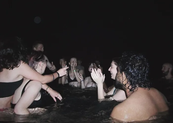 Wild Elephants Albergue *