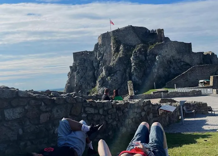 Wild Elephants Hostel *