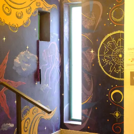 Wild Elephants Pozsony